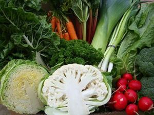 Picture of HOME GROWN BOX - Click here for this week's selection!