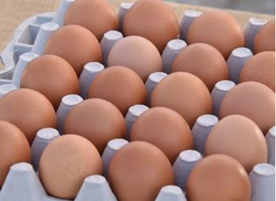 Picture of Eggs - 20 Tray - Lge