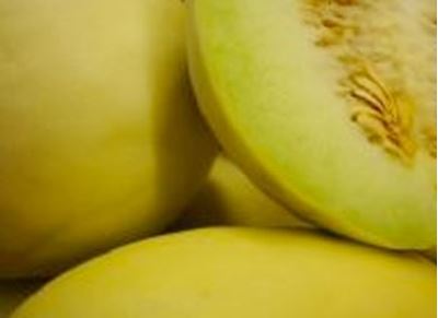Picture of Melon - Honey Dew (Half)