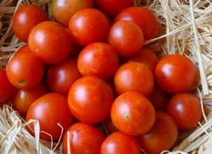 Picture of Tomato - Cherry - Punnet