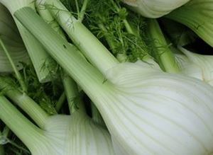 Picture of Fennel - Lge