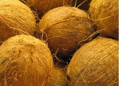 Picture of Coconut