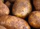 Picture of Potatoes - Dutch Cream (500g)