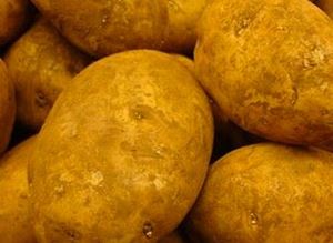 Picture of Potatoes - Nicola (1kg)