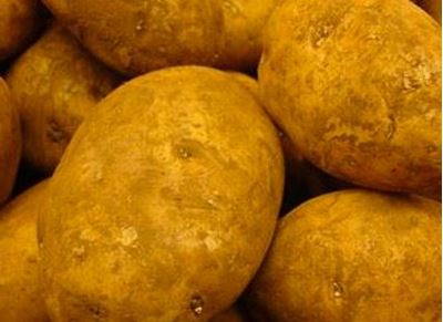 Picture of Potatoes - Nicola (500g)