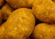 Picture of Potatoes - Nicola (500g)