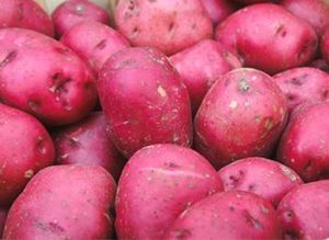 Picture of Potatoes - Red (5kg bag)