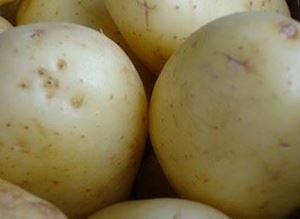 Picture of Potatoes - Washed (1kg)