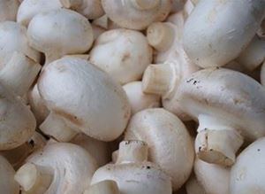 Picture of Mushrooms - Cup (250g)