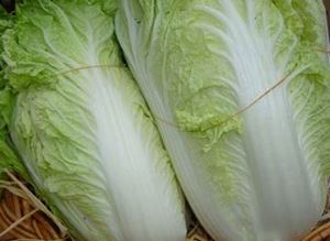 Picture of Cabbage - Wombok Half