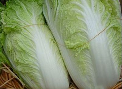 Picture of Cabbage - Wombok Half