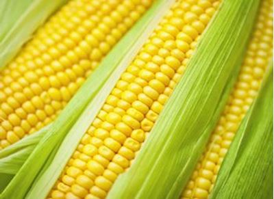 Picture of Corn - 2 Pack