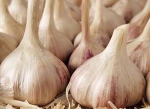 Picture of Garlic (100g)