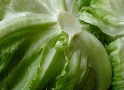 Picture of Lettuce - Iceberg