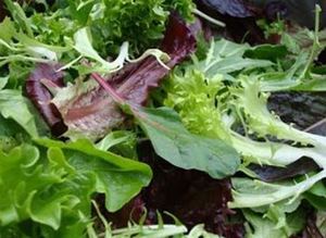 Picture of Lettuce - Salad Leaves Mixed (100g)
