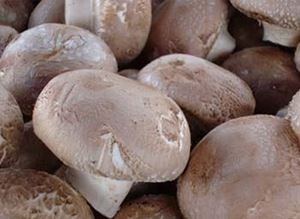 Picture of Mushrooms - Swiss Brown (250g)
