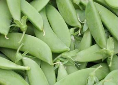 Picture of Peas - Sugar Snap (100g)