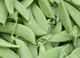 Picture of Peas - Sugar Snap (100g)