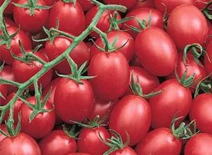 Picture of Tomato - Sugar Plum Punnet
