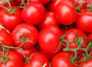 Picture of Tomato - Truss