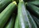 Picture of Zucchini - Green