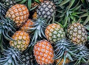 Picture of Pineapple - Lge (Whole)