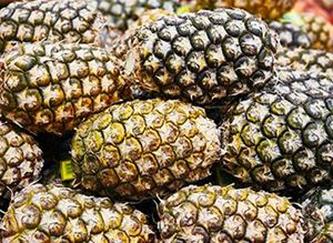 Picture of Pineapple Topless - Lge