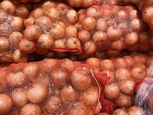 Picture of Onion - Brown (10kg bag)