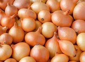 Picture of Onion - Brown (2kg bag)