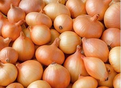 Picture of Onion - Brown (2kg bag)