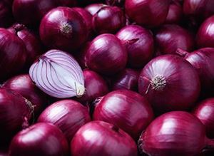 Picture of Onion - Red