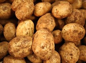 Picture of Potatoes - Brushed (5kg bag)