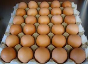 Picture of Eggs - 30 Tray - Sml