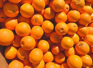 Picture of Oranges - Navel ea - Lge