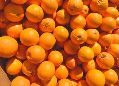 Picture of Oranges - Navel ea - Lge