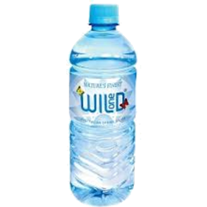 Picture of WILD1, Spring Water 600ml