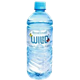 Picture of WILD1, Spring Water 600ml