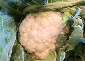 Picture of Cauliflower - Half