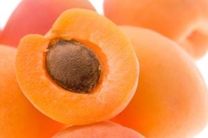 Picture of Apricots (Moorpark)