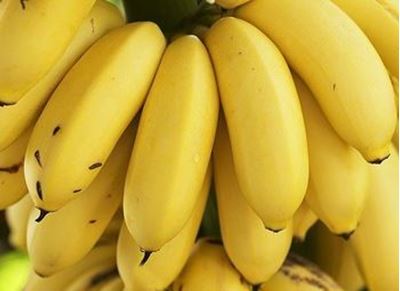 Picture of Banana - Organic