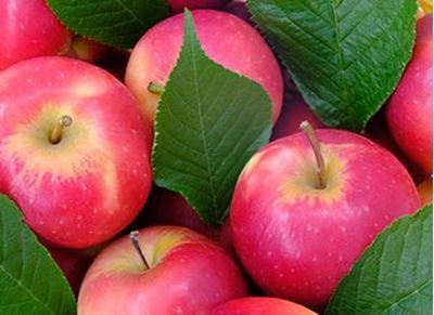 Picture of LOCAL Apple - Pink Lady - Unwaxed