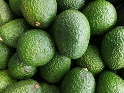 Picture of Avocado - Hass - Sml