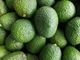 Picture of Avocado - Hass - Sml