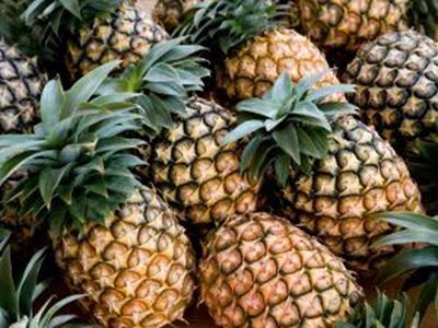 Picture of Pineapple - Lge
