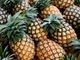 Picture of Pineapple - Lge