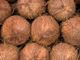 Picture of Coconut
