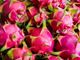 Picture of Dragon Fruit