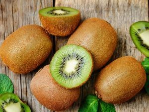 Picture of Kiwifruit Green - Lge 