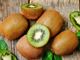 Picture of Kiwifruit Green - Lge 