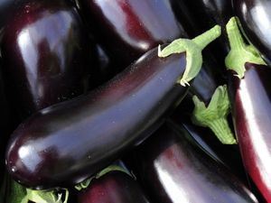 Picture of Eggplant